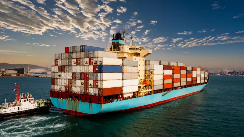 Export Credit Financed Projects