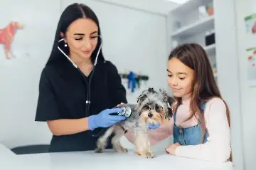Vet Demo-4